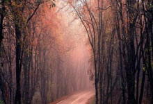 Kotlin完整倒计时界面