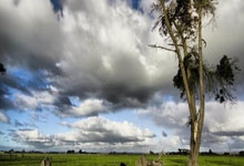 kotlin 获取当前年