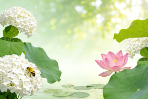 Kotlin中收起输入法