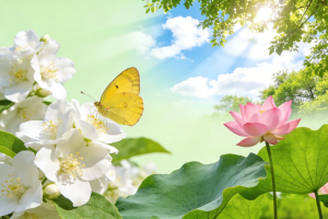 Kotlin 本地化存储 3 种常用方案