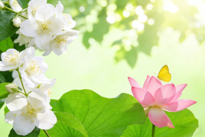 kotlin字符串截取